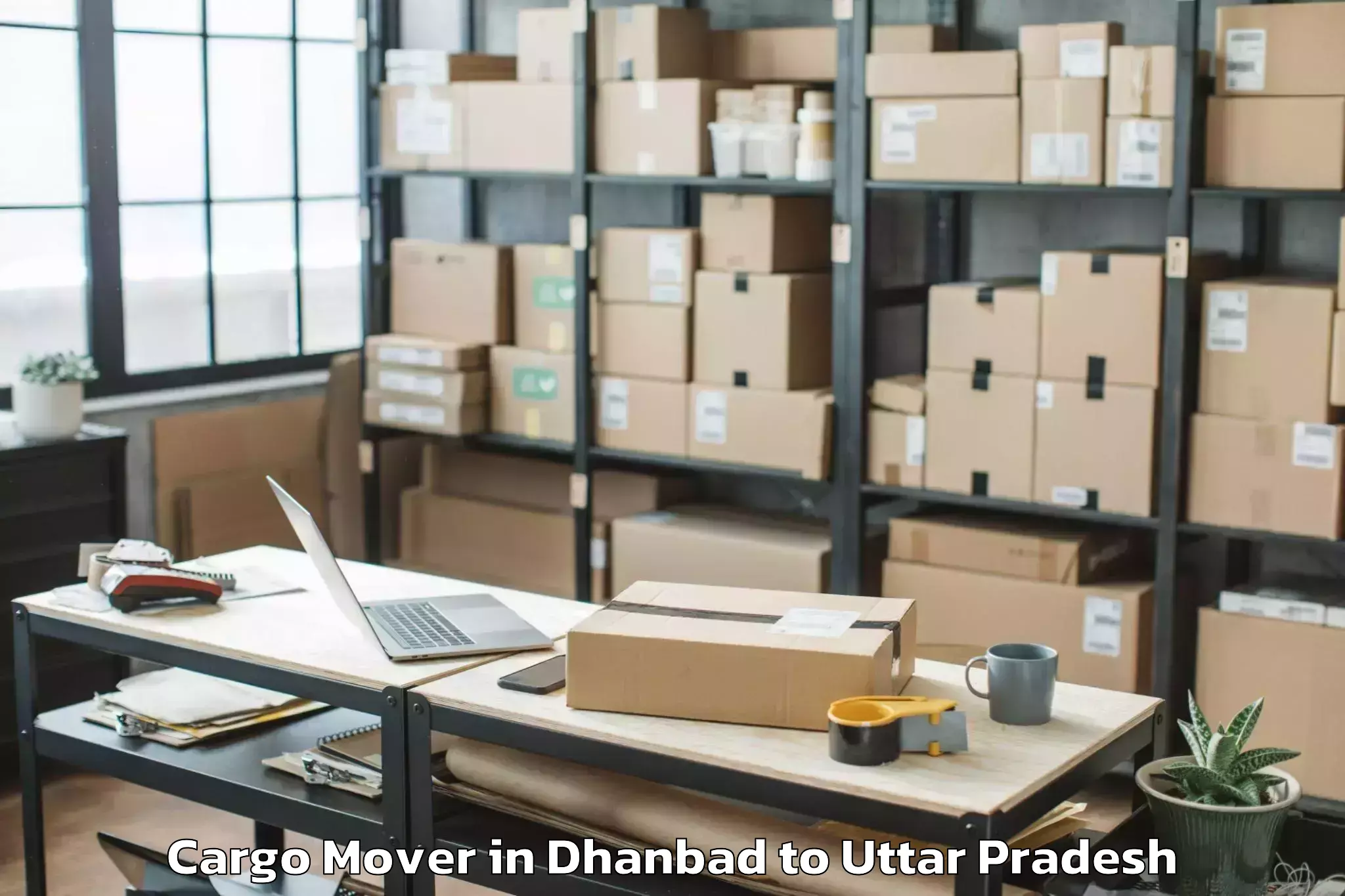 Trusted Dhanbad to Padrauna Cargo Mover